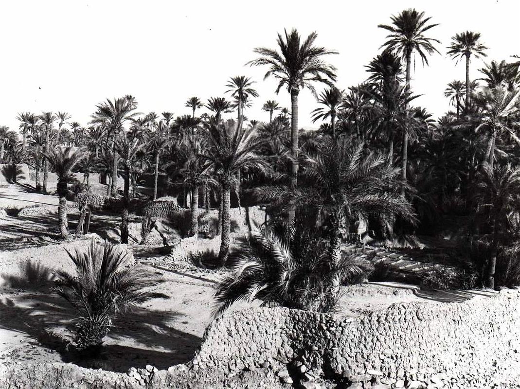Ain sefra 031-Collection Monneret.JPG